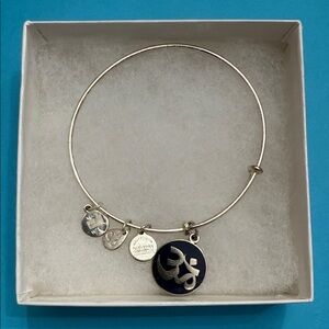 Alex and Ani Ohm Bangle Bracelet in Silvertone